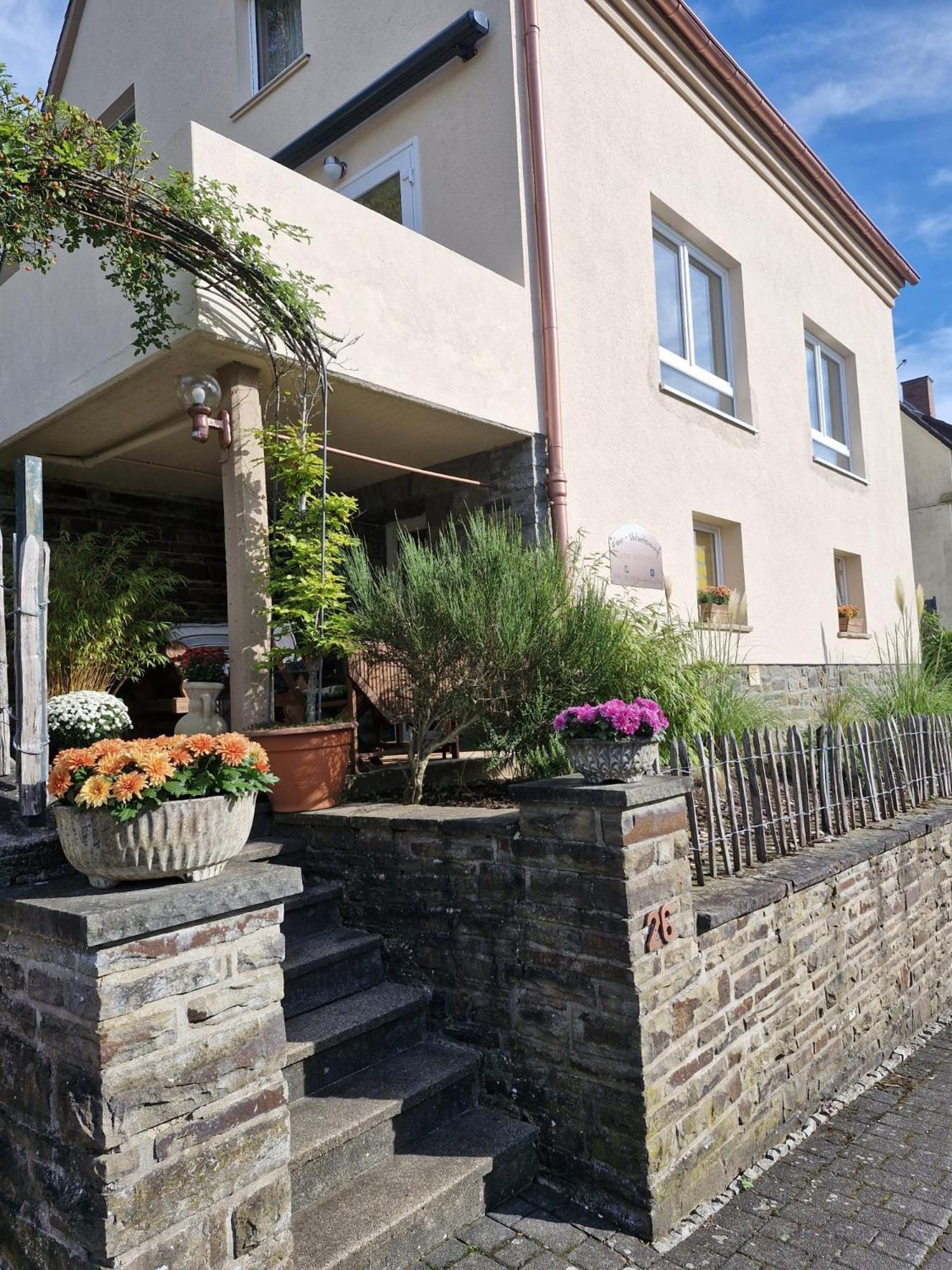 Alter Werkstatt Apartment Junkerath Exterior foto